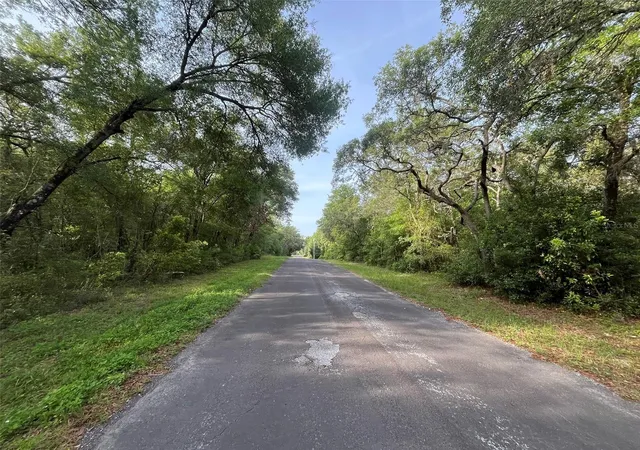 Photo 3 of Land for sale at 6634 N Pagoda Tree Ter, Hernando, FL 34442 | MLS# OK225315 | Listing updated on 2026-06-05