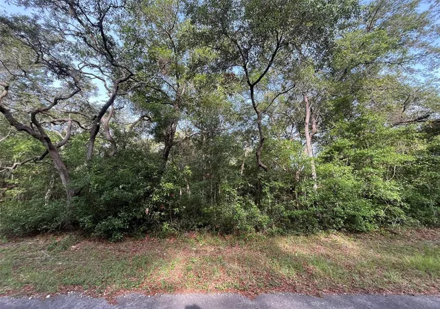 Photo 4 of Land for sale at 6634 N Pagoda Tree Ter, Hernando, FL 34442 | MLS# OK225315 | Listing updated on 2026-06-05