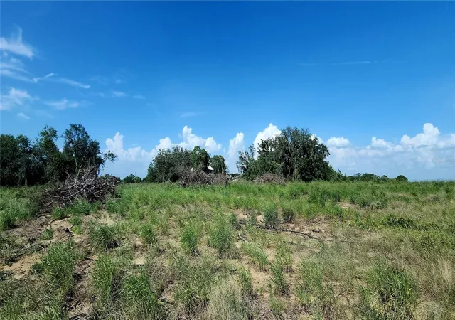 3rd image of 790 Lake Lotela Dr, Avon Park, FL 33825 | MLS# P4935222