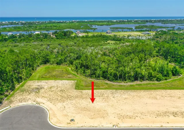 Land for sale at 234 Stillwater Dr, FLAGLER BEACH, FL 32136 | MLS# FC310623