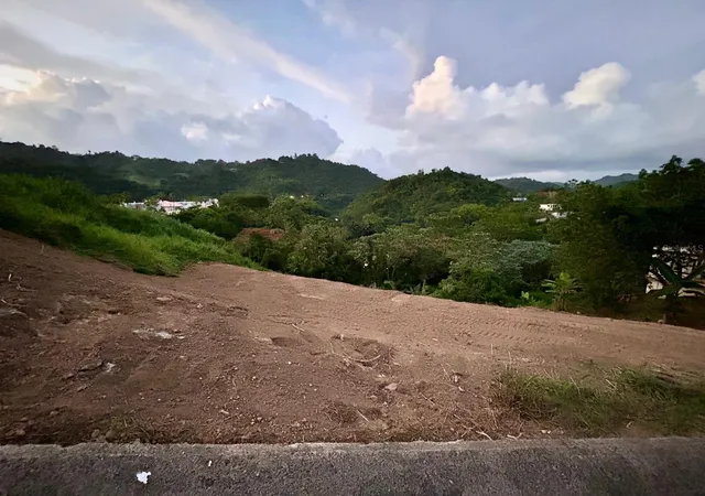 Homes for sale in Naranjito, PR | 164 St Km 44 Bo Nuevo, Naranjito, PR 00719 | MLS# PR9114448