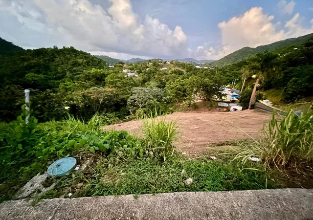 Homes for sale in Naranjito, PR | 164 St Km 44 Bo Nuevo, Naranjito, PR 00719 | MLS# PR9114448
