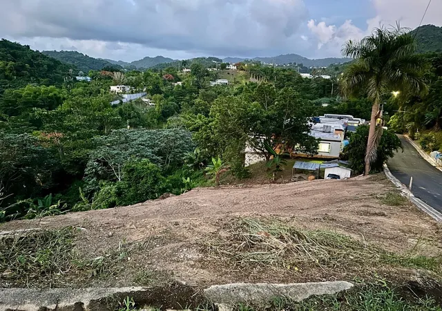 Homes for sale in Naranjito, PR | 164 St Km 44 Bo Nuevo, Naranjito, PR 00719 | MLS# PR9114448