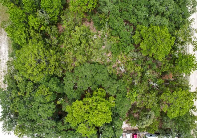 5th image of 17192 Nicasio Jay Ave, Brooksville, FL 34614 | MLS# OM704256