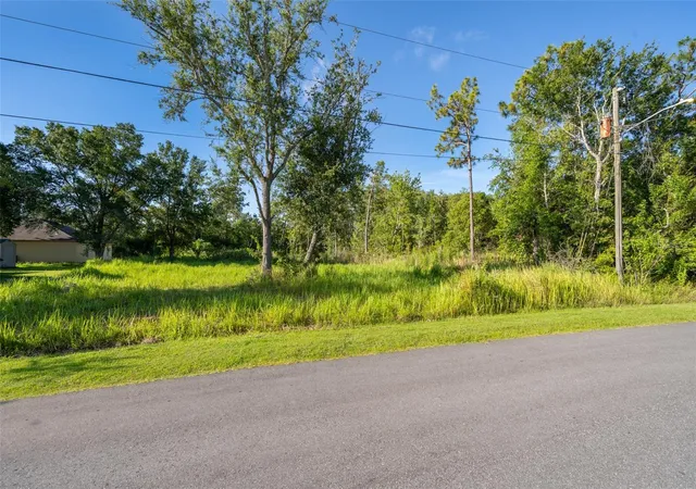 Homes for sale in Kissimmee, FL | San Benito Lot #5 Way, Kissimmee, FL 34758 | MLS# S5129579