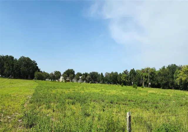 3rd image of Us-17 & 1St St E, Pierson, FL 32180 | MLS# O6321098