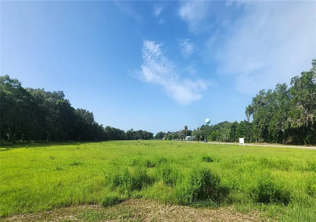 2nd image of 103 E 2nd Ave E, Pierson, FL 32180 | MLS# O6321321
