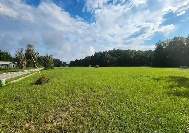 5th image of 103 E 2Nd Ave E, Pierson, FL 32180 | MLS# O6321321