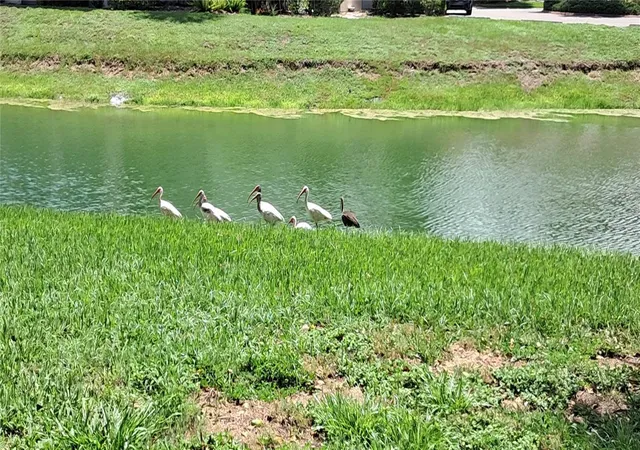 52nd image of 7201 Country Club Dr #G21, Lake Wales, FL 33898 | MLS# P4935318