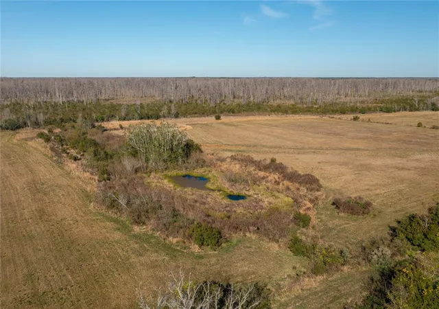 Photo 4 of Land for sale at 601 Diamond Acres Rd, Davenport, FL 33837 | MLS# P4935327 | Listing updated on 2026-08-10