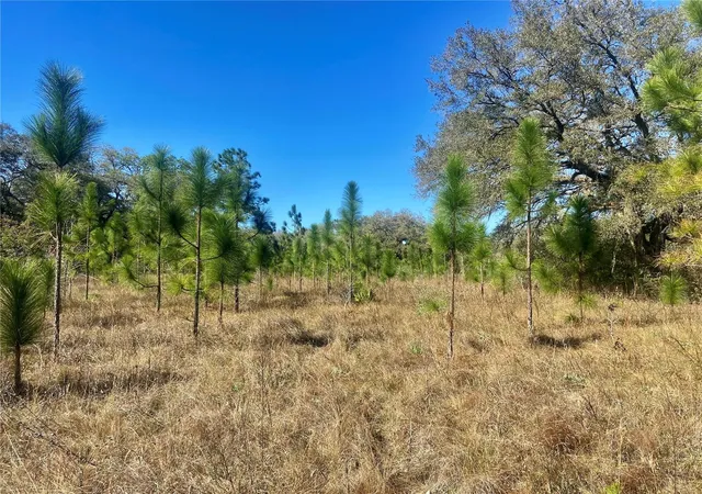 1st image of 00 Unnamed, Spring Hill, FL 34610 | MLS# TB8401223