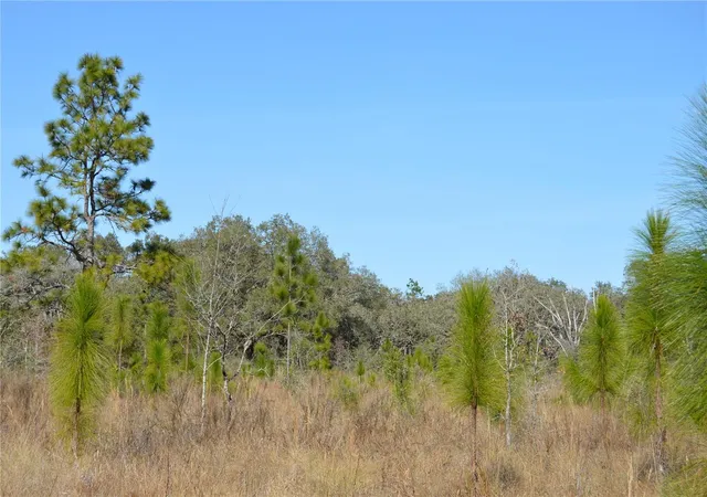 2nd image of 00 Unnamed, Spring Hill, FL 34610 | MLS# TB8401223