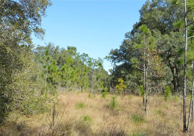 5th image of 00 Unnamed, Spring Hill, FL 34610 | MLS# TB8401223