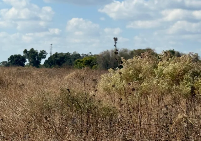 1st image of 12828 Fort King Hwy, Thonotosassa, FL 33592 | MLS# TB8401649