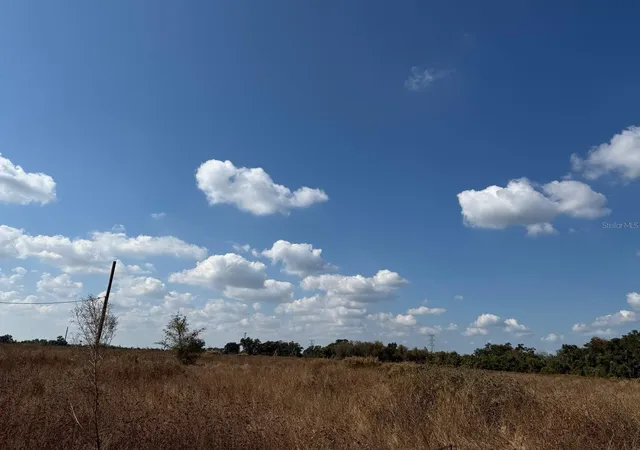 4th image of 12828 Fort King Hwy, Thonotosassa, FL 33592 | MLS# TB8401649