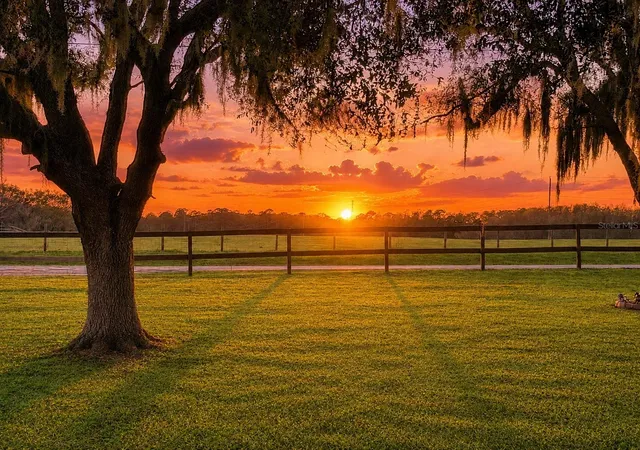 89th image of 12651 Se County Road 337, Dunnellon, FL 34431 | MLS# OM704516