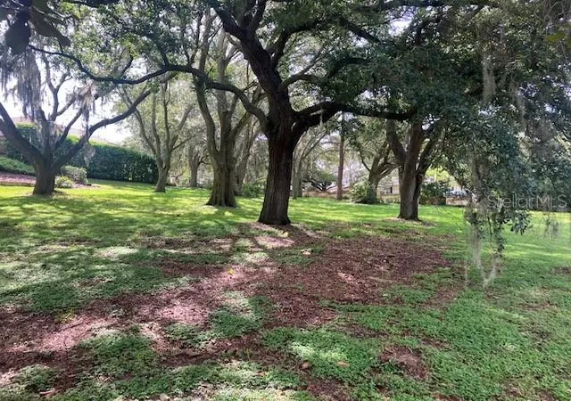 5th image of 114 W Magnolia Ave, Howey In The Hills, FL 34737 | MLS# O6322551