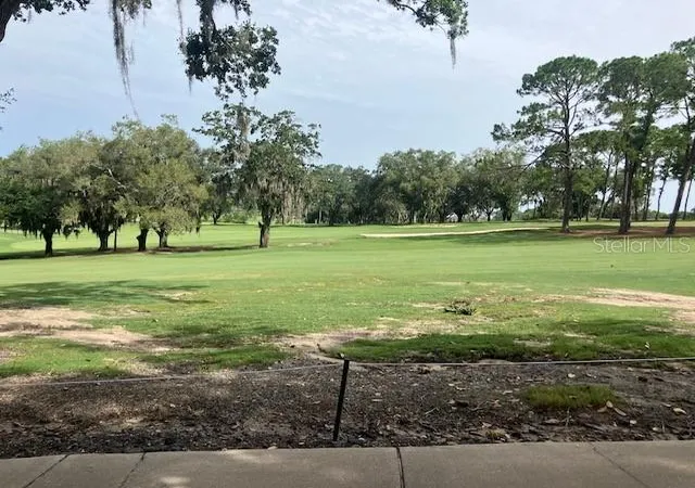 9th image of 114 W Magnolia Ave, Howey In The Hills, FL 34737 | MLS# O6322551