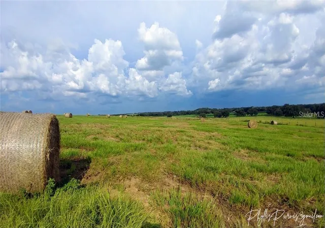 Land for sale at 8440 Gall Blvd, ZEPHYRHILLS, FL 33541 | MLS# TB8402323
