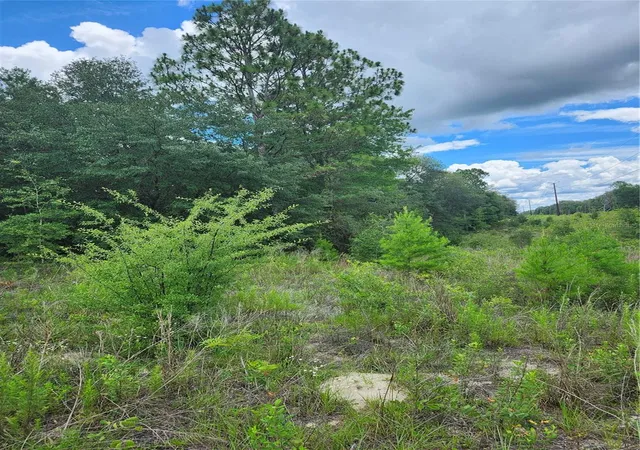4th image of 7649 Casa Grande, Keystone Heights, FL 32656 | MLS# GC532123