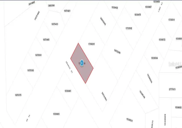 Photo 3 of Land for sale at E Orange Ave, Eustis, FL 32726 | MLS# O6323118 | Listing updated on 2026-02-24