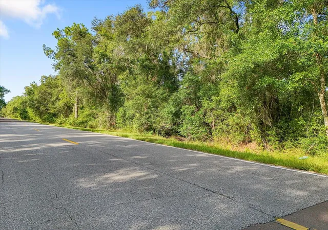12th image of 5900 N Dormany Rd, Plant City, FL 33565 | MLS# TB8403299