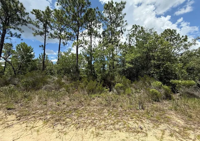 Photo 1 of Land for sale at 187 Paris St, Interlachen, FL 32148 | MLS# OK225367 | Listing updated on 2026-09-23