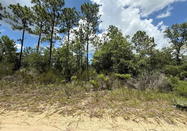 Photo 2 of Land for sale at 187 Paris St, Interlachen, FL 32148 | MLS# OK225367 | Listing updated on 2026-09-23