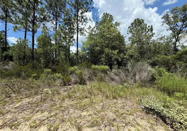 Photo 3 of Land for sale at 187 Paris St, Interlachen, FL 32148 | MLS# OK225367 | Listing updated on 2026-09-23