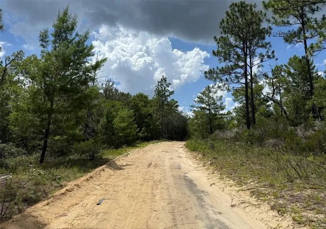 Photo 3 of Land for sale at 187 Paris St, Interlachen, FL 32148 | MLS# OK225367 | Listing updated on 2026-09-23