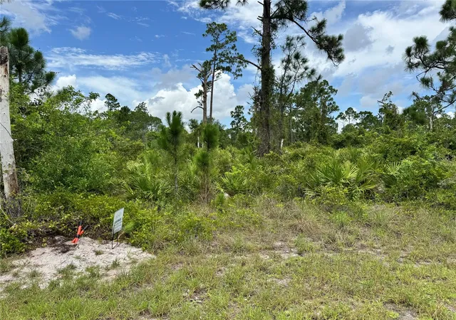 Homes for sale in Lehigh Acres, FL | 728 Vespucci Ave S, Lehigh Acres, FL 33974 | MLS# TB8403558
