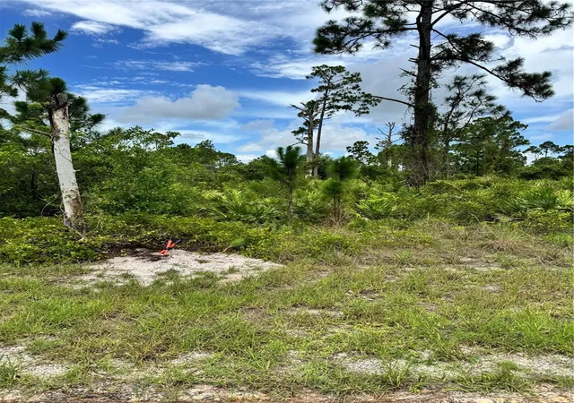 Homes for sale in Lehigh Acres, FL | 728 Vespucci Ave S, Lehigh Acres, FL 33974 | MLS# TB8403558
