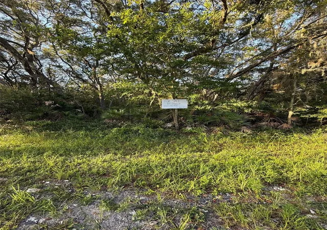 Photo 3 of Land for sale at 161 Wallace St, Interlachen, FL 32148 | MLS# O6323899 | Listing updated on 2026-09-24