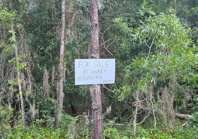 Photo 4 of Land for sale at 905 E Hillsborough Ave, Florahome, FL 32140 | MLS# O6324026 | Listing updated on 2026-05-19