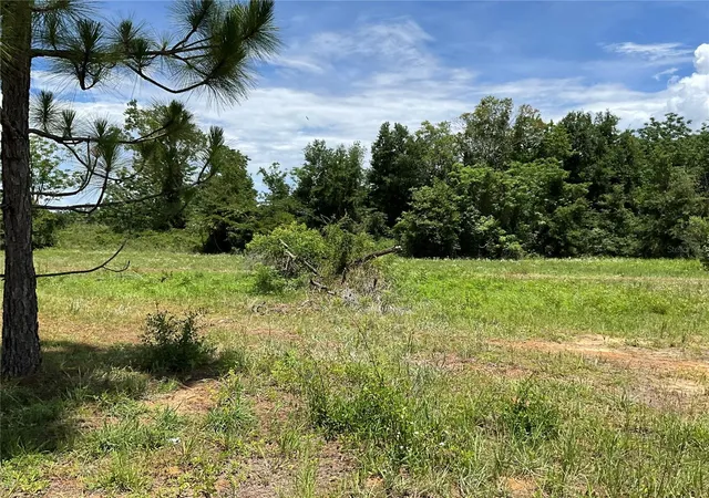 4th image of 101 Hickory Ln, Interlachen, FL 32148 | MLS# G5099205