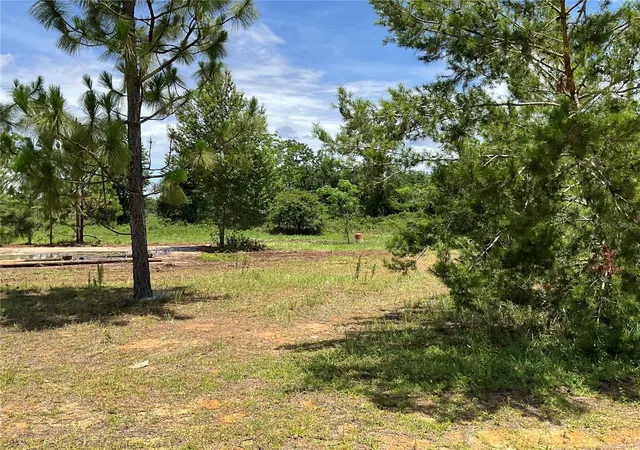 5th image of 101 Hickory Ln, Interlachen, FL 32148 | MLS# G5099205