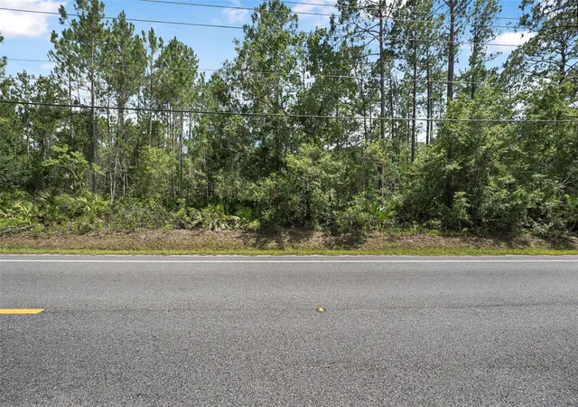 Homes for sale in Bunnell, FL | 5875 Mahogany Blvd, Bunnell, FL 32110 | MLS# FC311011