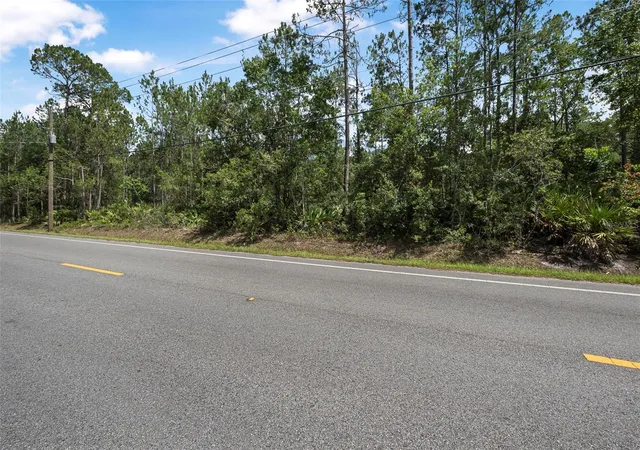 Homes for sale in Bunnell, FL | 5875 Mahogany Blvd, Bunnell, FL 32110 | MLS# FC311011