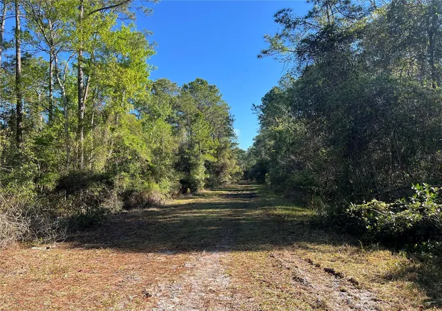 Homes for sale in Georgetown, FL | 208 Se 3rd St, Georgetown, FL 32139 | MLS# OK225378