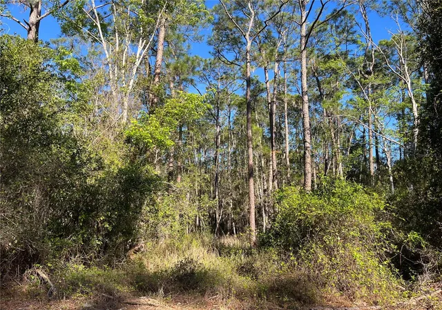 Homes for sale in Georgetown, FL | 208 Se 3rd St, Georgetown, FL 32139 | MLS# OK225378