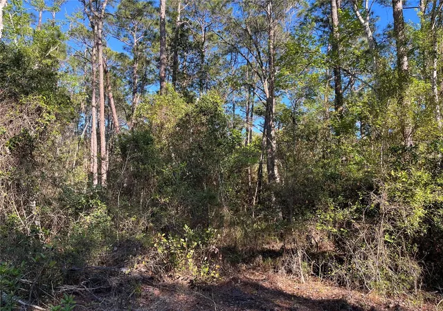 Homes for sale in Georgetown, FL | 208 Se 3Rd St, Georgetown, FL 32139 | MLS# OK225378