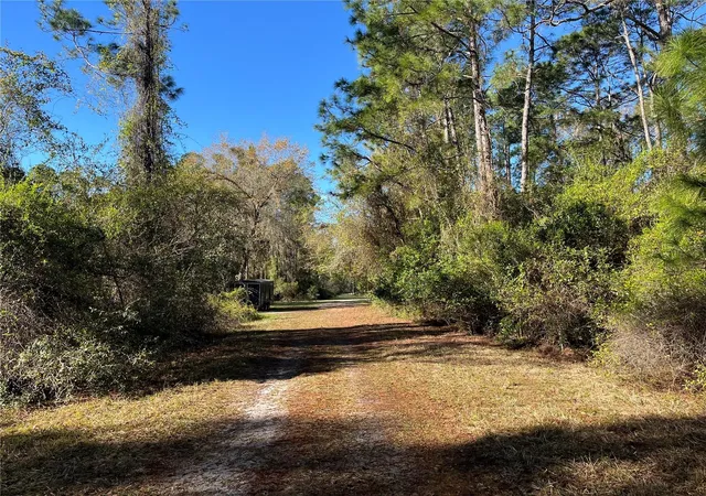 Homes for sale in Georgetown, FL | 208 Se 3Rd St, Georgetown, FL 32139 | MLS# OK225378