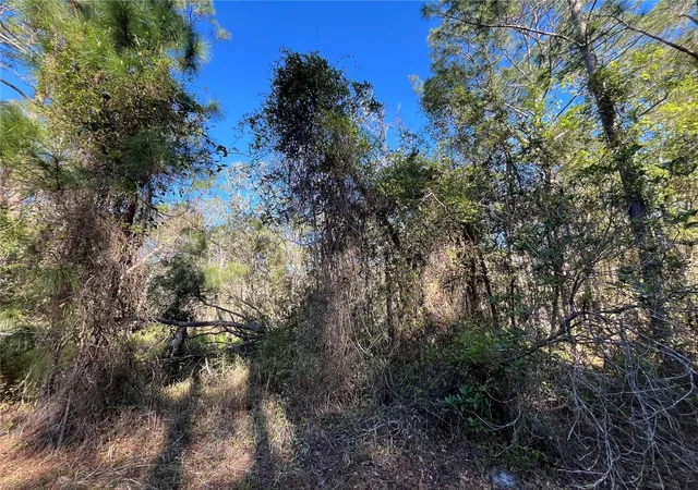 Homes for sale in Georgetown, FL | 208 Se 3rd St, Georgetown, FL 32139 | MLS# OK225378