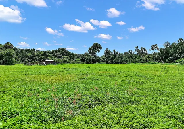 3rd image of 15785 Nw 33Rd Ter, Reddick, FL 32686 | MLS# OM704977