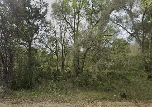 Photo 1 of Land for sale at 305 Milton Ave, Interlachen, FL 32148 | MLS# OK225383 | Listing updated on 2026-07-10
