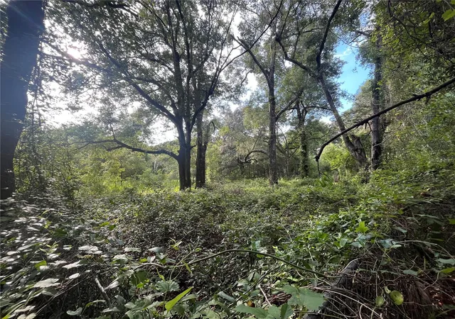 Photo 2 of Land for sale at 305 Milton Ave, Interlachen, FL 32148 | MLS# OK225383 | Listing updated on 2026-07-10