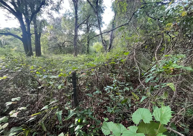 Photo 3 of Land for sale at 305 Milton Ave, Interlachen, FL 32148 | MLS# OK225383 | Listing updated on 2026-07-10