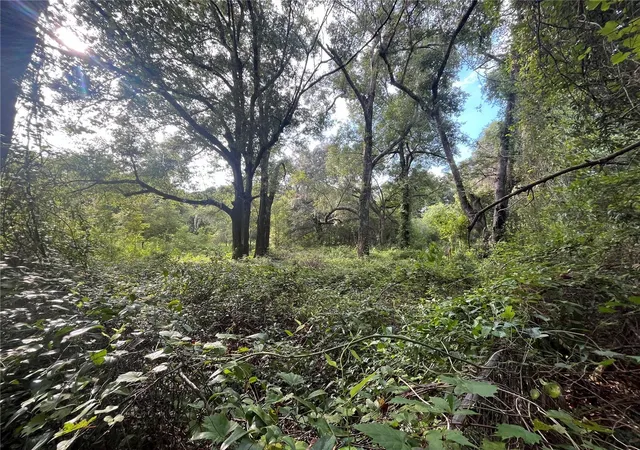 Photo 3 of Land for sale at 305 Milton Ave, Interlachen, FL 32148 | MLS# OK225383 | Listing updated on 2026-07-10