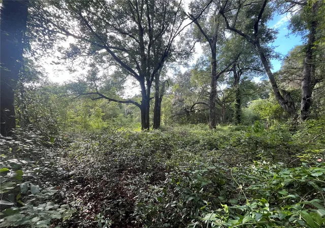 Photo 4 of Land for sale at 305 Milton Ave, Interlachen, FL 32148 | MLS# OK225383 | Listing updated on 2026-07-10