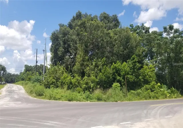 5th image of 4137 New River Rd, Zephyrhills, FL 33542 | MLS# TB8404619